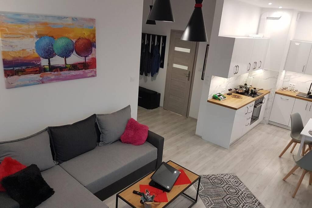 Komfortowy Nowoczesny Apartament Kustronia Z Garazem Balkonem Wanna Bielsko-Biała Ngoại thất bức ảnh
