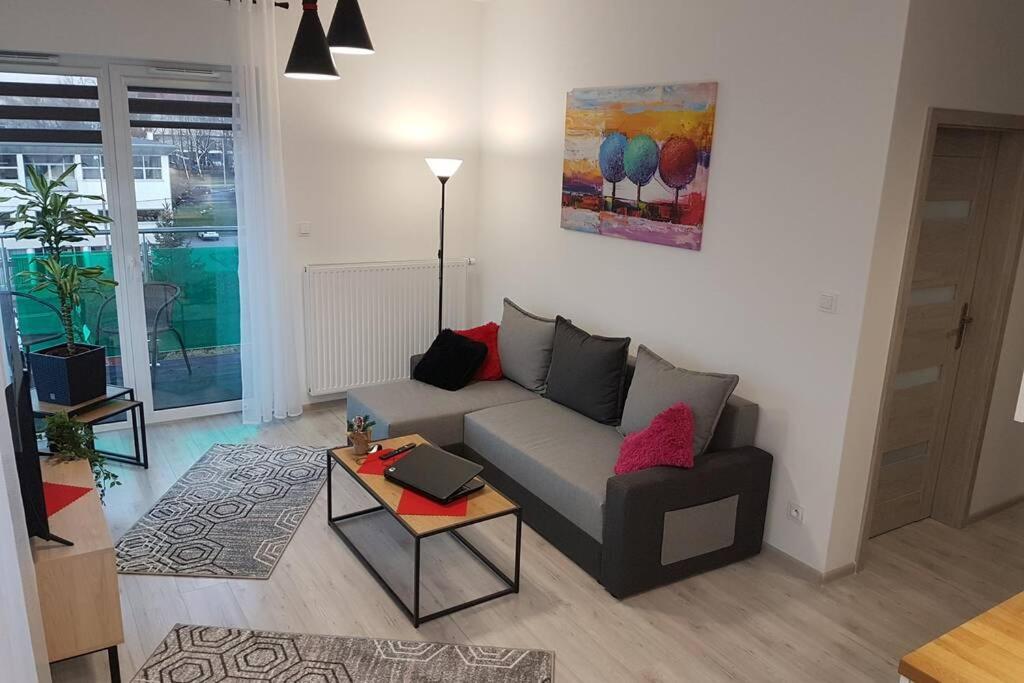 Komfortowy Nowoczesny Apartament Kustronia Z Garazem Balkonem Wanna Bielsko-Biała Ngoại thất bức ảnh